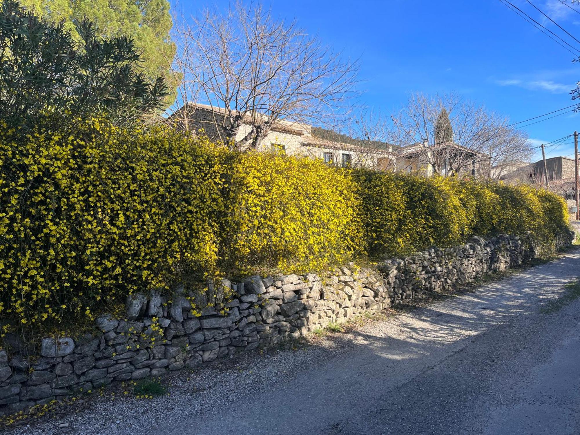 L'Ostal Du Pic Saint Loup Aux Embruscalles Claret Dış mekan fotoğraf